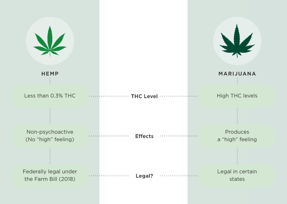 Cannabis, Hemp, and Marijuana