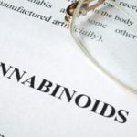 cbdfx us blog CBD and Friends Exploring Minor Cannabinoids