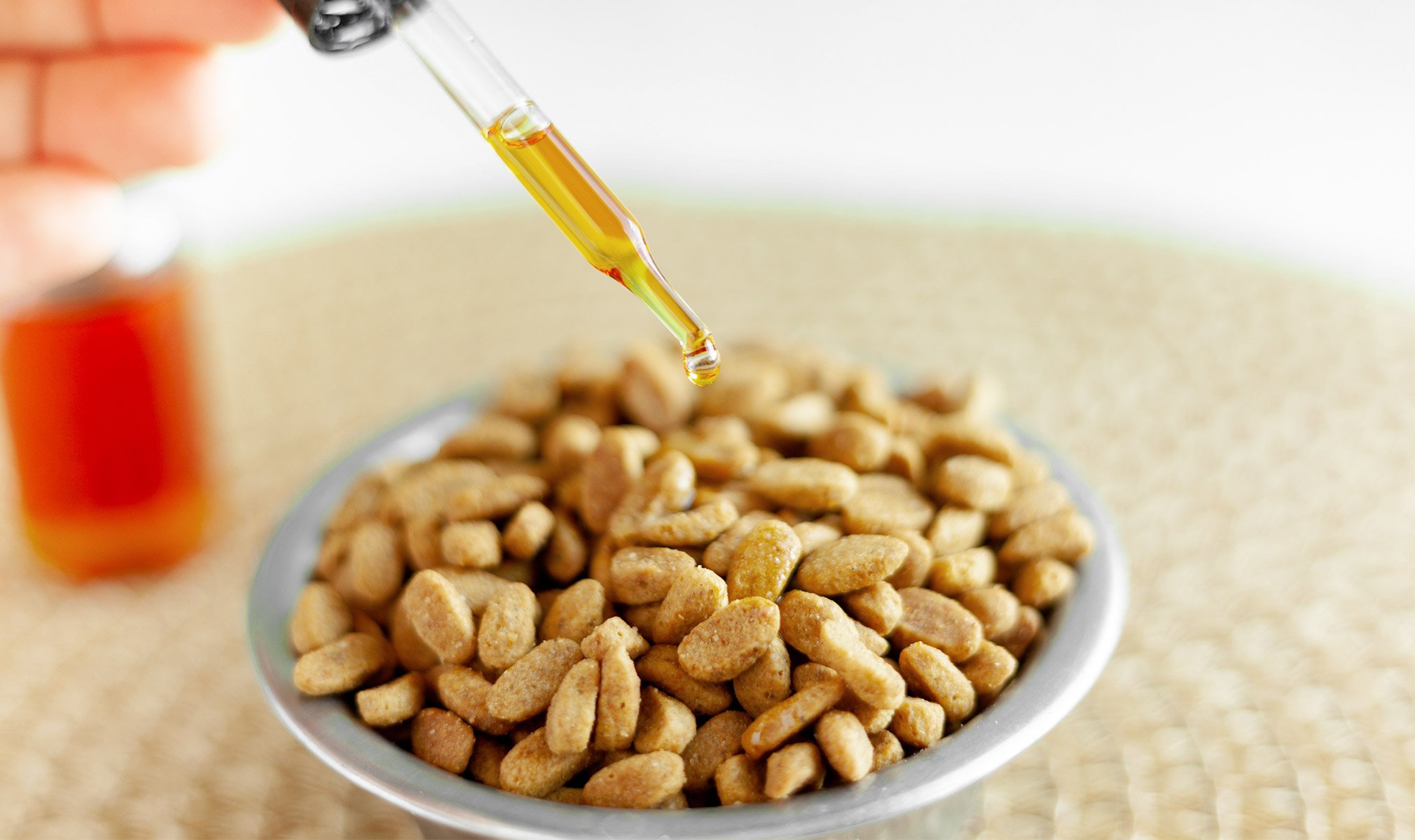 cbdfx us blog Is CBD Safe for Pets