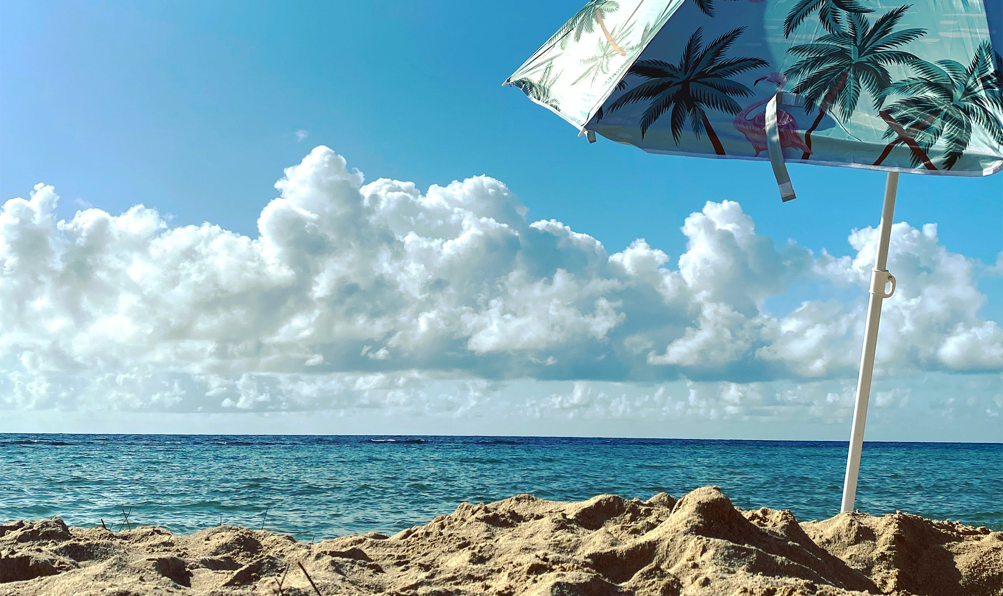 cbdfx us blog Summer Vacation Traveling With CBD