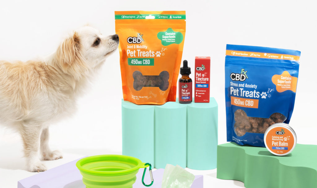 cbdfx us blog The Benefits of CBD for Pets