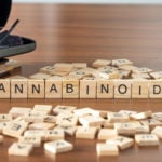 cbdfx us blog What Are Cannabinoids