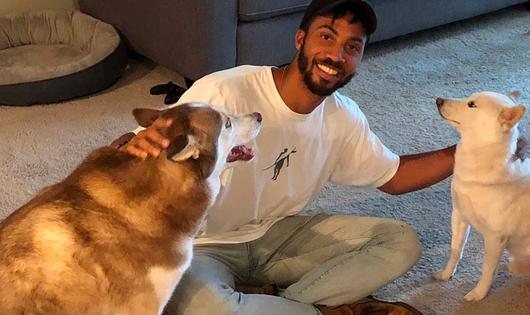 cbdfx us blog What Happened When I Gave My Dogs CBD for  Days