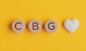 cbdfx us blog What Is CBG