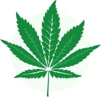 indica
