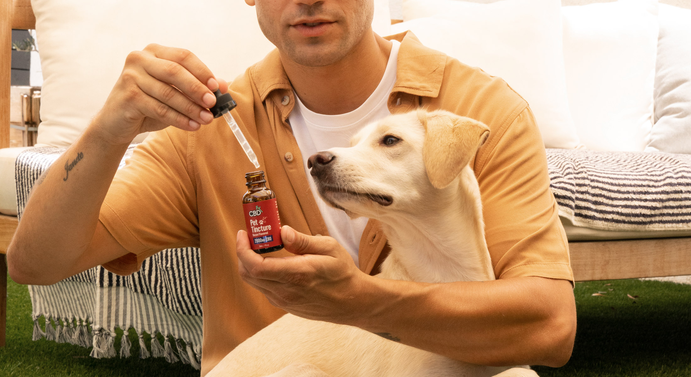 New Year, New You Better Living for Your Bestie With CBD for Pets