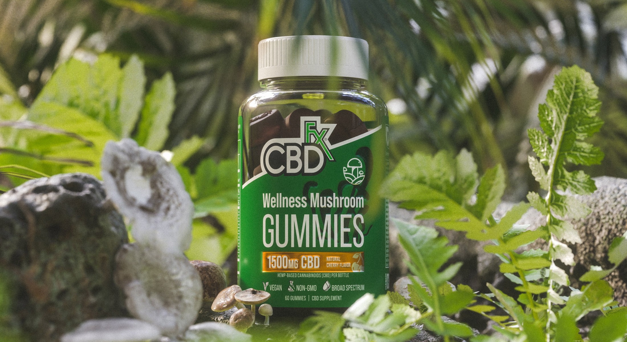 New Year, New You Building Healthy Habits With CBD